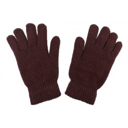 Gants unis Marron Léon Montane Gants Léon montane