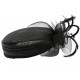 Chapeau Mariage Noir en paille sisal Mure ANCIENNES COLLECTIONS divers