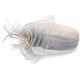 Chapeau Mariage Gris en paille sisal Mure ANCIENNES COLLECTIONS divers