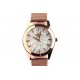 Montre dore femme à paillettes grises bracelet milanais Nymphea ANCIENNES COLLECTIONS divers