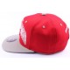 Snapback Detroit Redwings Rouge et Grise CASQUETTES Mitchell & Ness