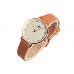 Montre Femme Strass Doré et Marron Fantaisie Laly Montre Michael John