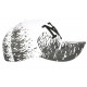 Casquette Enfant Blanche et Noire Tags Sportswear Baseball Noryk de 7 à 11 ans Casquette Enfant Hip Hop Honour