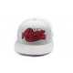 Snapback Landtaylor Grise et déco rouge ANCIENNES COLLECTIONS divers