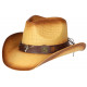 Chapeau Cowboy Marron Tete De Taureau Country Prestige Wrangler ANCIENNES COLLECTIONS divers