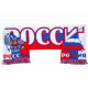 Echarpe Russie Supporter РОССИЯ Blanc Bleu Rouge en Laine Echarpe Léon montane