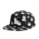 Casquette 5 panel Cayler and Sons Budz N stripes CASQUETTES Cayler & Sons