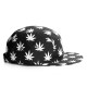 Casquette 5 panel Cayler and Sons Budz N stripes CASQUETTES Cayler & Sons