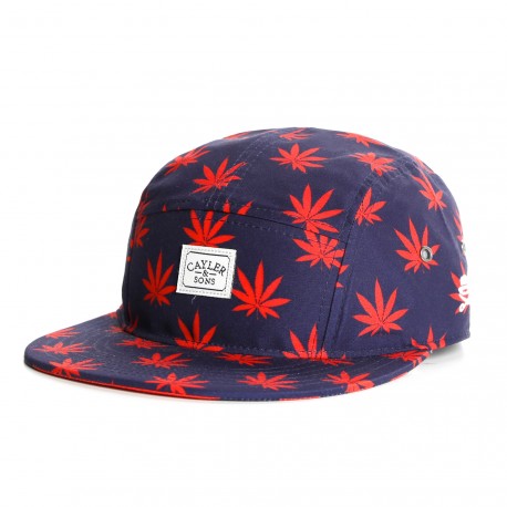 Casquette 5 panel Cayler and Sons Budz N stripes Navy ANCIENNES COLLECTIONS divers