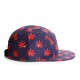 Casquette 5 panel Cayler and Sons Budz N stripes Navy ANCIENNES COLLECTIONS divers