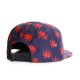 Casquette 5 panel Cayler and Sons Budz N stripes Navy ANCIENNES COLLECTIONS divers