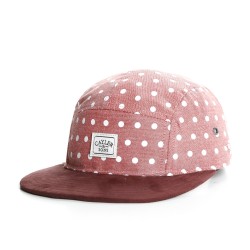 Casquette 5 panel Cayler and Sons Dotted Marron ANCIENNES COLLECTIONS divers