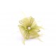 Coiffe Cérémonie Azina en sisal Anis ANCIENNES COLLECTIONS divers